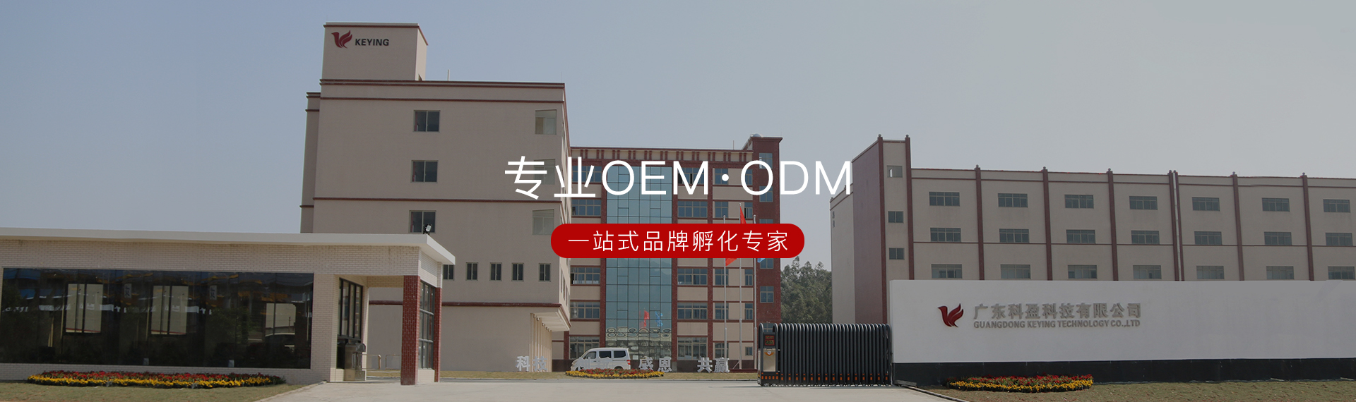 谈球吧app体育